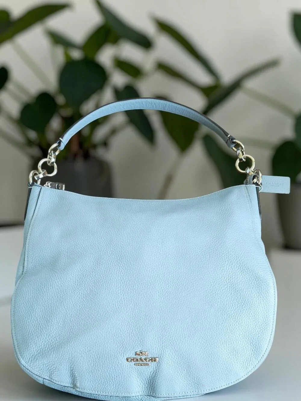 COACH Chelsea Hobo Bag